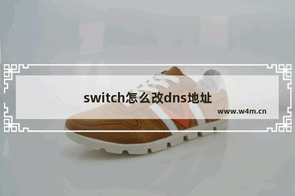 switch怎么改dns地址