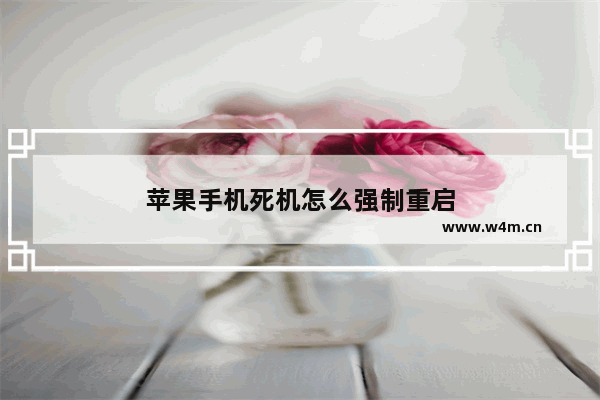 苹果手机死机怎么强制重启