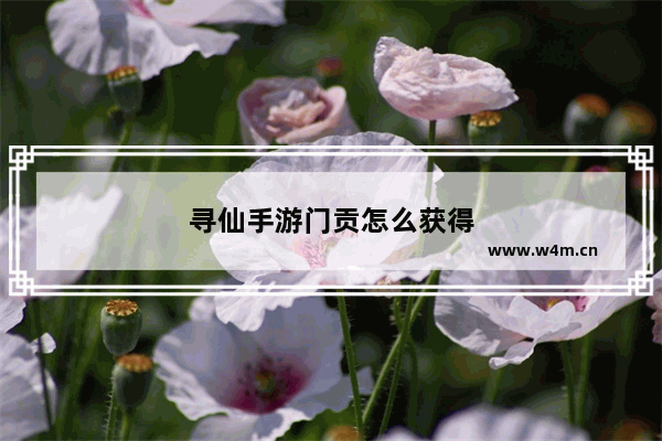 寻仙手游门贡怎么获得