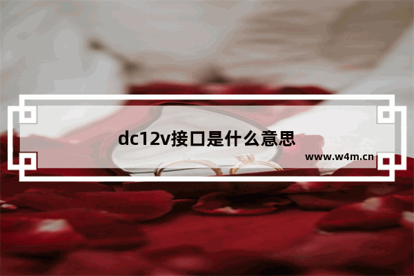 dc12v接口是什么意思