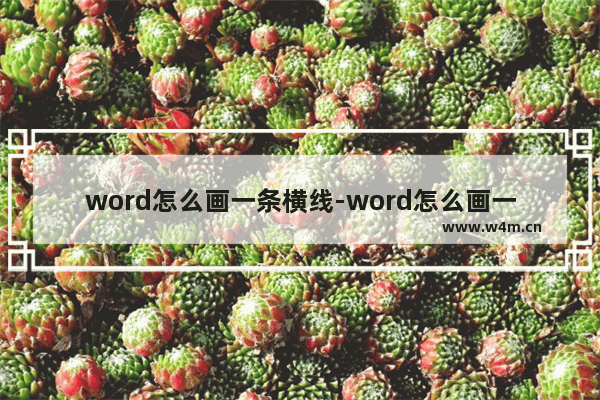 word怎么画一条横线-word怎么画一条横线加粗