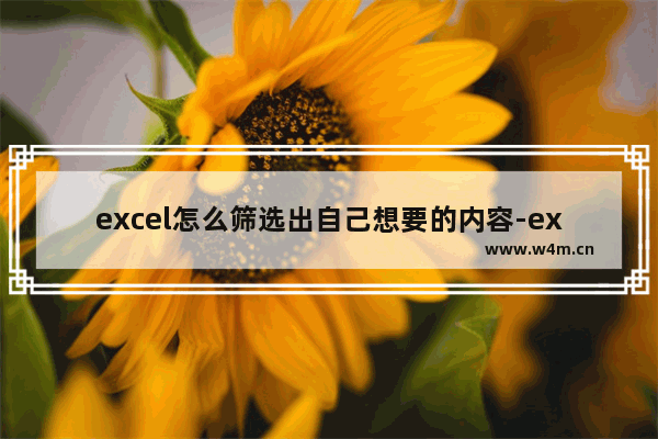 excel怎么筛选出自己想要的内容-excel怎么筛选出自己想要的内容并删除其他内容