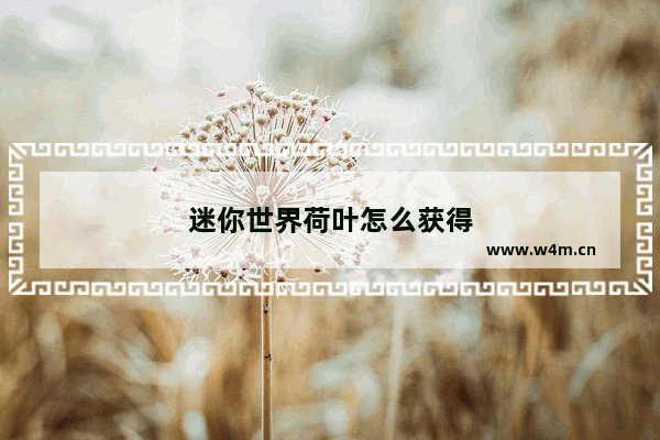 迷你世界荷叶怎么获得