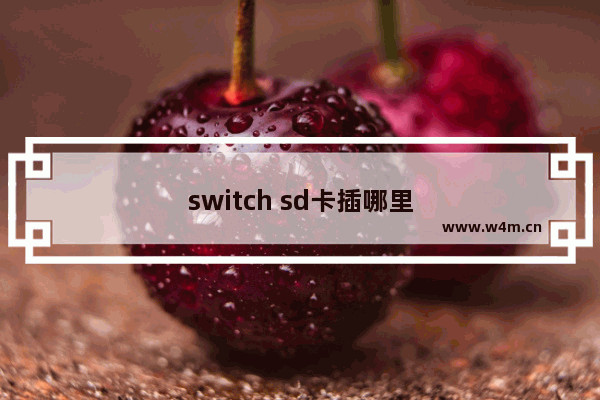 switch sd卡插哪里