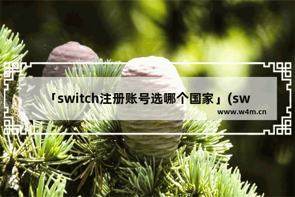 「switch注册账号选哪个国家」(switch注册账号选哪个国家比较好)