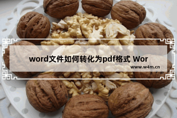 word文件如何转化为pdf格式 Word文件转换为PDF格式的方法