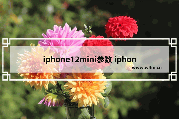 iphone12mini参数 iphone12mini参数配置详细参数