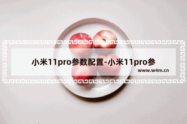 小米11pro参数配置-小米11pro参数配置图表