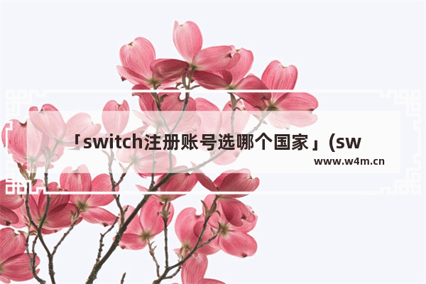 「switch注册账号选哪个国家」(switch注册账号选哪个国家比较好)