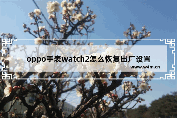 oppo手表watch2怎么恢复出厂设置