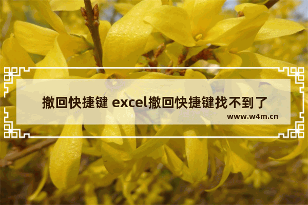 撤回快捷键 excel撤回快捷键找不到了