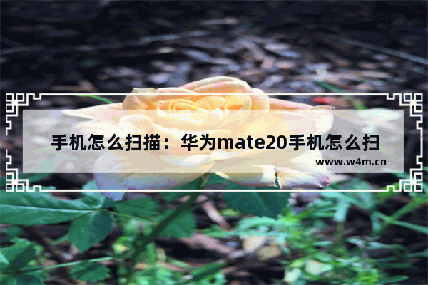 手机怎么扫描：华为mate20手机怎么扫描图片