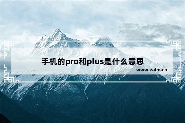 手机的pro和plus是什么意思