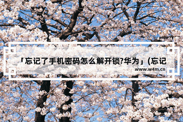 「忘记了手机密码怎么解开锁?华为」(忘记了手机密码怎么解开锁?华为2s)