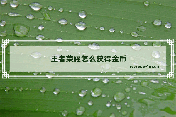 王者荣耀怎么获得金币