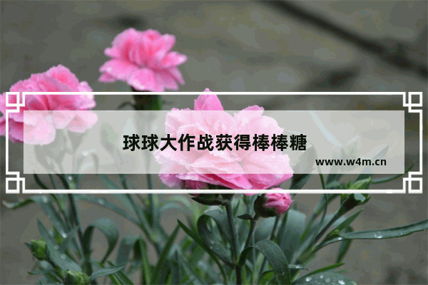 球球大作战获得棒棒糖