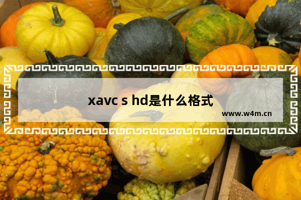 xavc s hd是什么格式