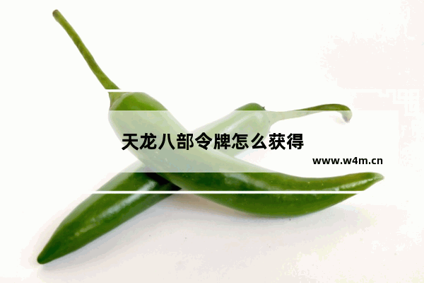 天龙八部令牌怎么获得