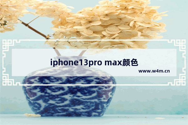 iphone13pro max颜色