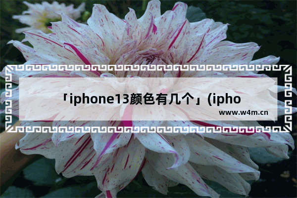 「iphone13颜色有几个」(iphone13颜色有几个图片)