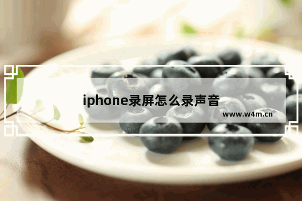 iphone录屏怎么录声音