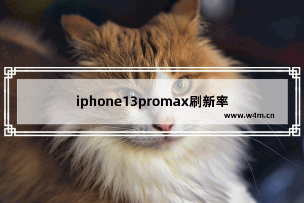 iphone13promax刷新率