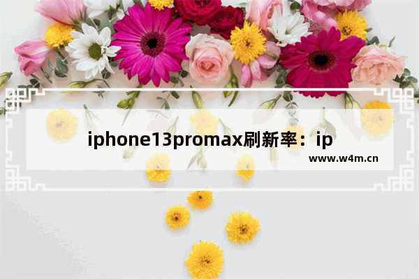 iphone13promax刷新率：iphone13promax刷新率怎么设置