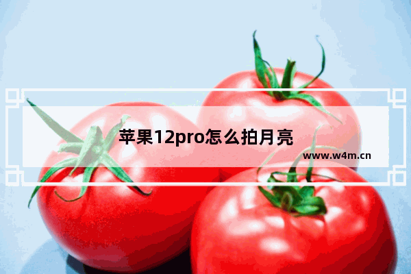 苹果12pro怎么拍月亮