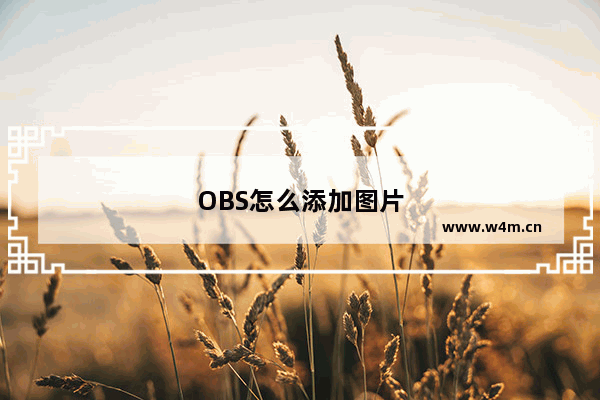 OBS怎么添加图片