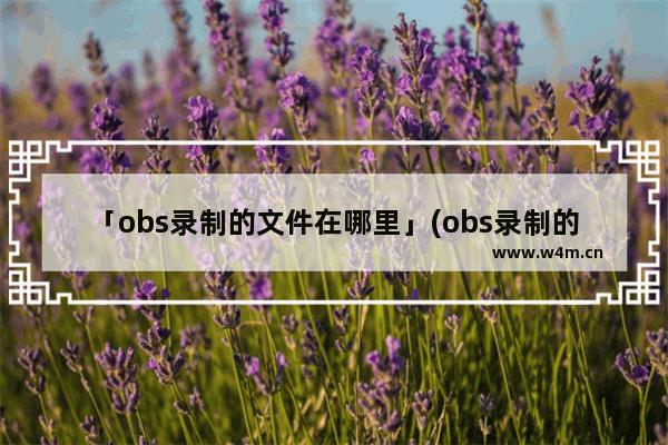 「obs录制的文件在哪里」(obs录制的文件在哪里ios)