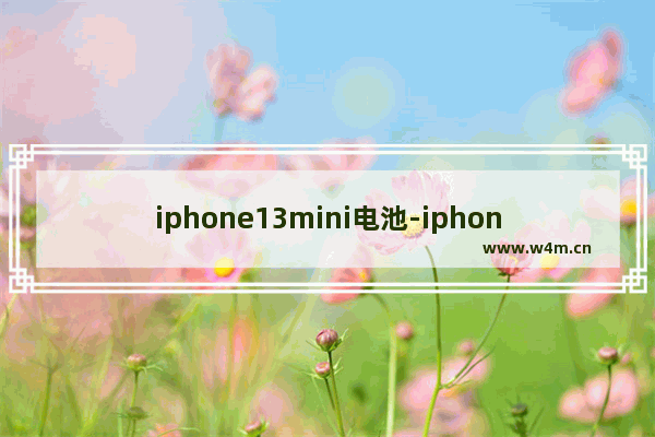 iphone13mini电池-iphone13mini电池百分比