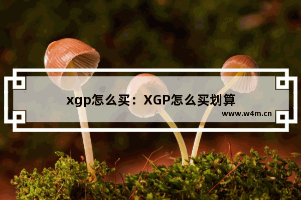 xgp怎么买：XGP怎么买划算