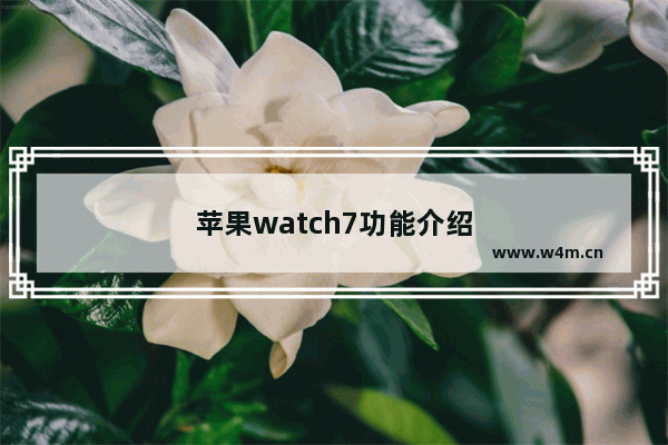 苹果watch7功能介绍