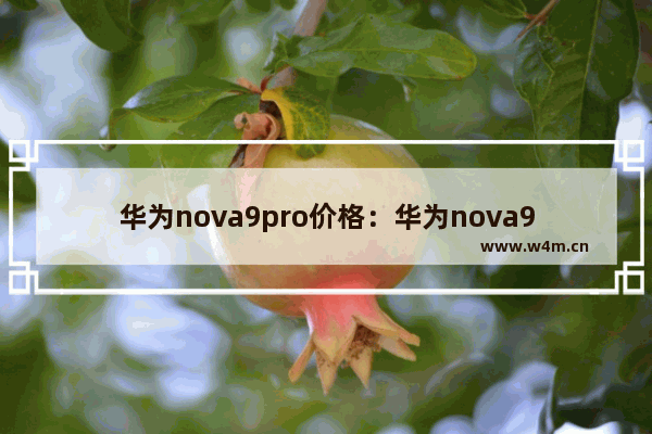 华为nova9pro价格：华为nova9pro价格256G