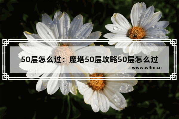 50层怎么过：魔塔50层攻略50层怎么过