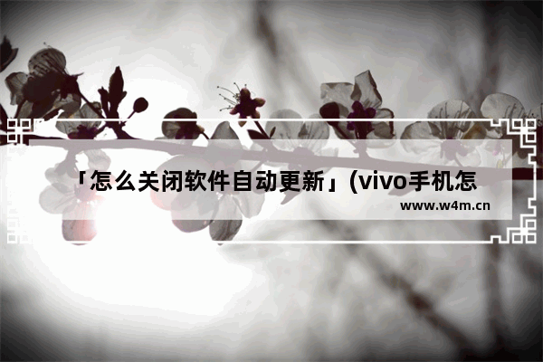 「怎么关闭软件自动更新」(vivo手机怎么关闭软件自动更新功能)