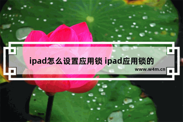 ipad怎么设置应用锁 ipad应用锁的设置步骤