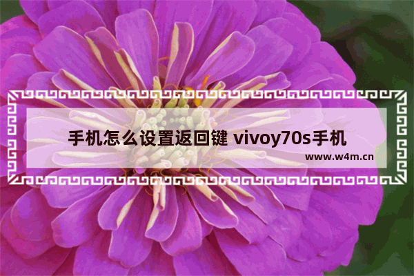 手机怎么设置返回键 vivoy70s手机怎么设置返回键在屏幕上