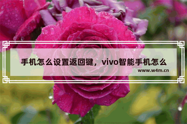 手机怎么设置返回键，vivo智能手机怎么设置返回键