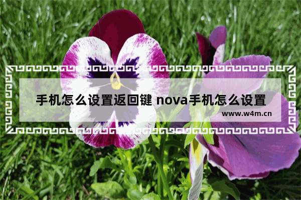 手机怎么设置返回键 nova手机怎么设置返回键