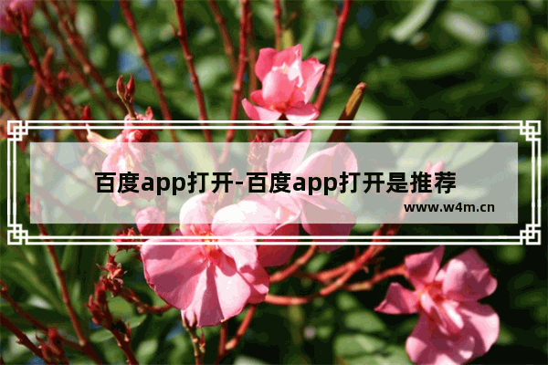 百度app打开-百度app打开是推荐