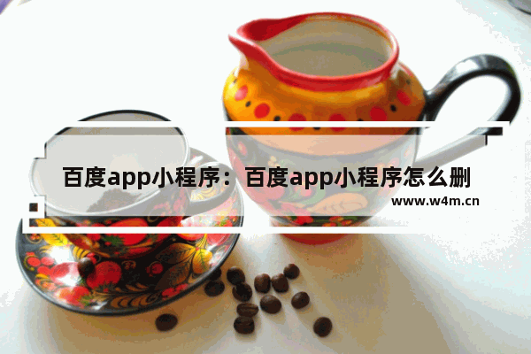 百度app小程序：百度app小程序怎么删除