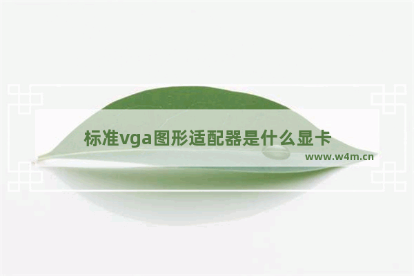 标准vga图形适配器是什么显卡