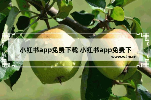 小红书app免费下载 小红书app免费下载官方版2018