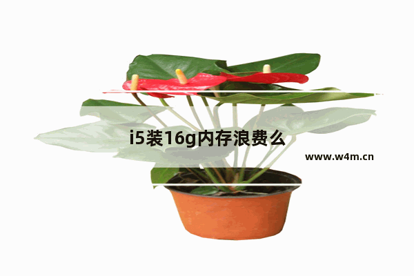 i5装16g内存浪费么