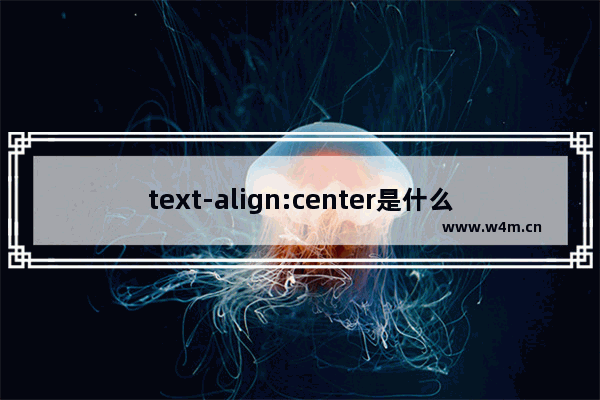 text-align:center是什么意思