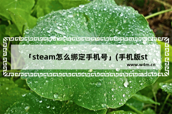 「steam怎么绑定手机号」(手机版steam怎么绑定手机号直接给手机发验证码)