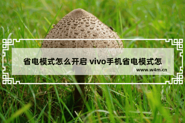 省电模式怎么开启 vivo手机省电模式怎么开启