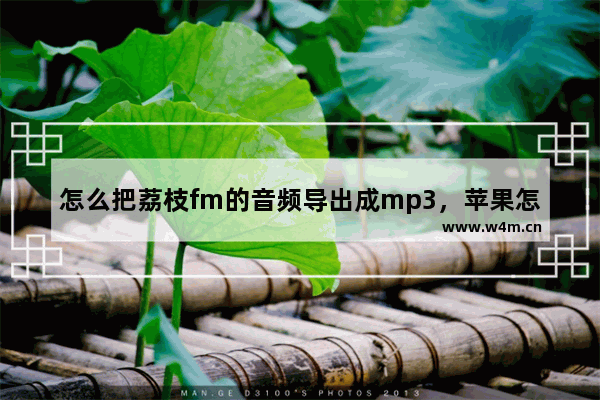 怎么把荔枝fm的音频导出成mp3，苹果怎么把荔枝fm的音频导出成mp3