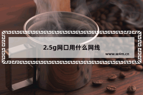 2.5g网口用什么网线